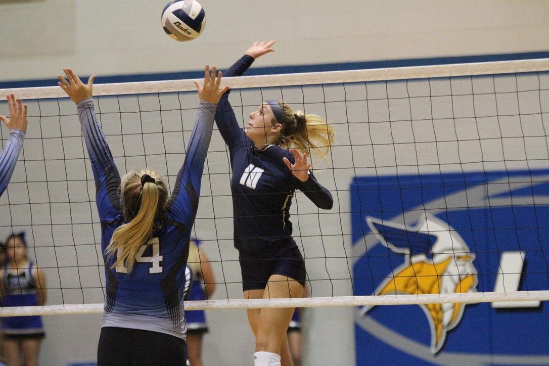 York vs. Columbus Lakeview volleyball 20.jpg